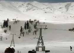 Gulmarg Biosphere Reserves in Gulmarg