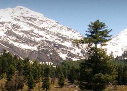 Aru Valley, Pahalgam