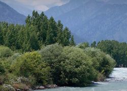 Lidder River, Pahalgam