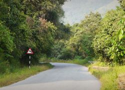 Charmadi Ghat, Chikmagalur