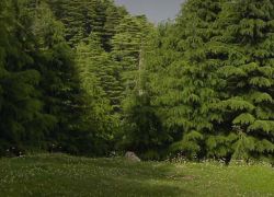 Kalatop Wildlife Sanctuary