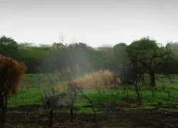 Victoria Park in Bhavnagar