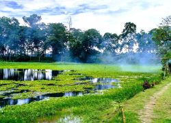 Dehing Namti Satra in Dibrugarh