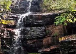 Udanti Sanctuary in Raipur