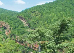 Nallamala Hills in Kurnool