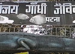 Sanjay Gandhi Jaivik Udyan in Patna