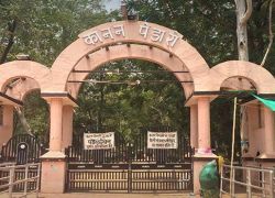 Kanan Pendari Zoo in Bilaspur