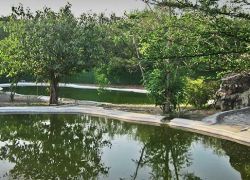 Pradhyuman Zoological Park in Rajkot