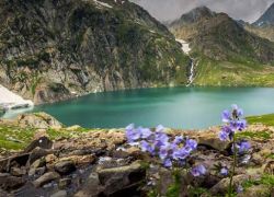 Gadsar Lake Jammu & Kashmir in Sonamarg