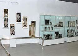 Museum of Anatomy and Pathology in Manipal
