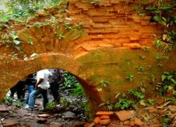 Chilapata Forest in Siliguri