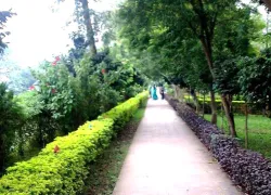 Na Pukhuri in Tinsukia