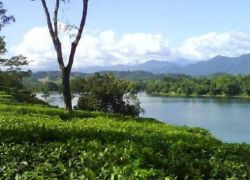 Gandhibag Park in Silchar