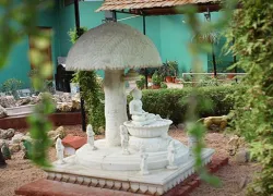 Veerayatan Museum in Rajgir