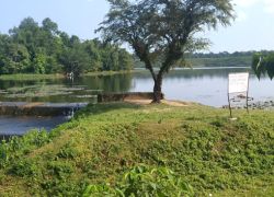 Dolu Lake in Silchar