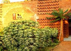 Pandu Pokhar in Nalanda