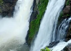 Chethalayam Falls in Wayanad