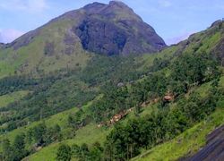 Lockhart Gap in Munnar