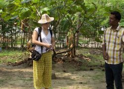 Kumbalangi Integrated Tourism Village in Kochi