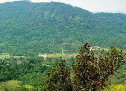 Murikkady in Idukki