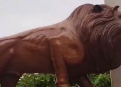 Lions Park in Kozhikode Calicut