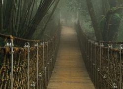 Neelimala View Point in Wayanad