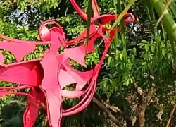 Subhash Park in Ernakulam