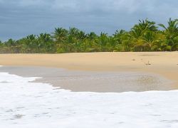 Marari Beach in Alleppey