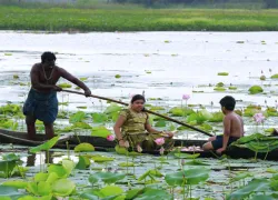 Vellayani Lake in Kovalam