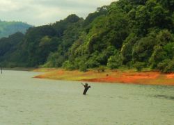 Pandikuzhi in Thekkady