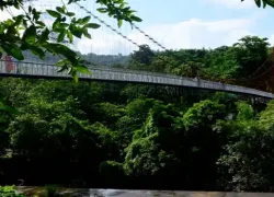 Thumboormuzhi Dam & Butterfly Park in Thrissur