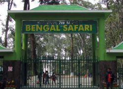 Bengal Safari in Siliguri