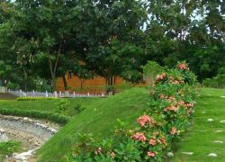 New Town Eco Park in Kolkata