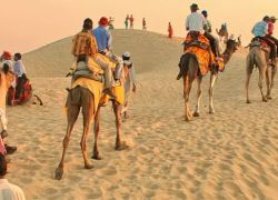 Sand Dunes Safari in Bikaner