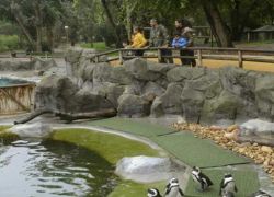 Zoological Garden in Jaipur