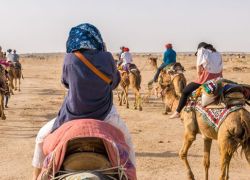 Desert Safari In Jaisalmer in Jaisalmer
