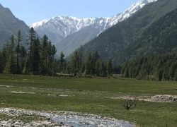 Rakcham Chitkul Sanctuary in Kinnaur