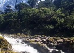 Mouling National Park in Yingkiong