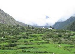 Sangla Meadows in Sangla