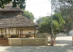 Raman Reti in Mathura