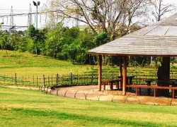 Pu La Deshpande Garden in Pune