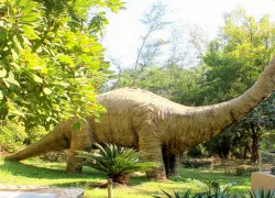 Shivalik Fossil Park in Sirmaur