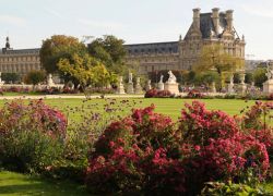 Jardin des Tuileries in Paris