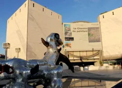 Modern & Contemporary Art Museum in Nice