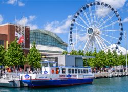Navy Pier