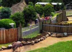 Cougar Mountain Zoo in Seattle