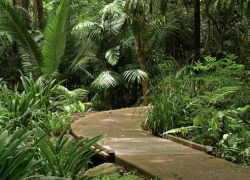 National Botanic Gardens in Canberra