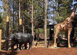 National Zoo and Aquarium in Canberra