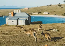 Maria Island National Park in Tasmania