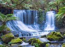 Mount Field National Park in Tasmania